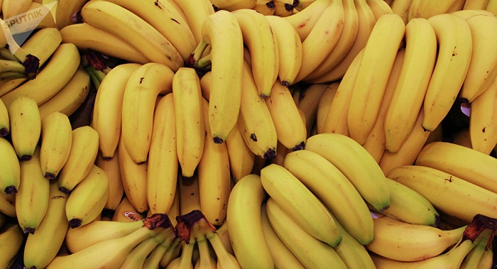 10687platanos25310