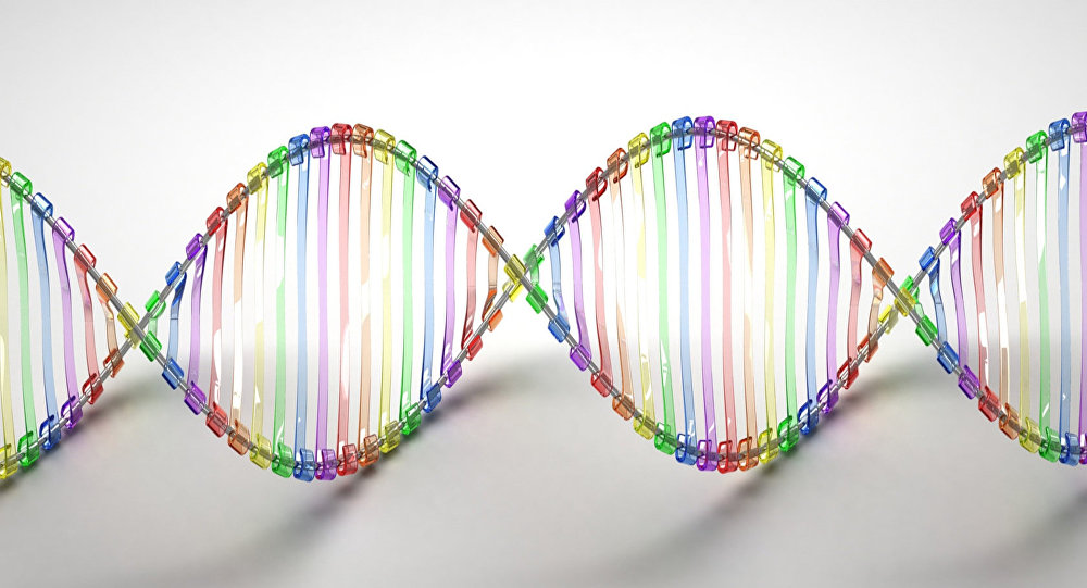 10720genes25956