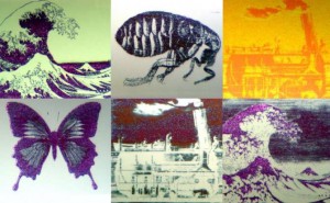 img_20981MicroPixel