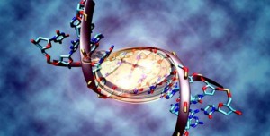 3984-ADN-reloj-biologico