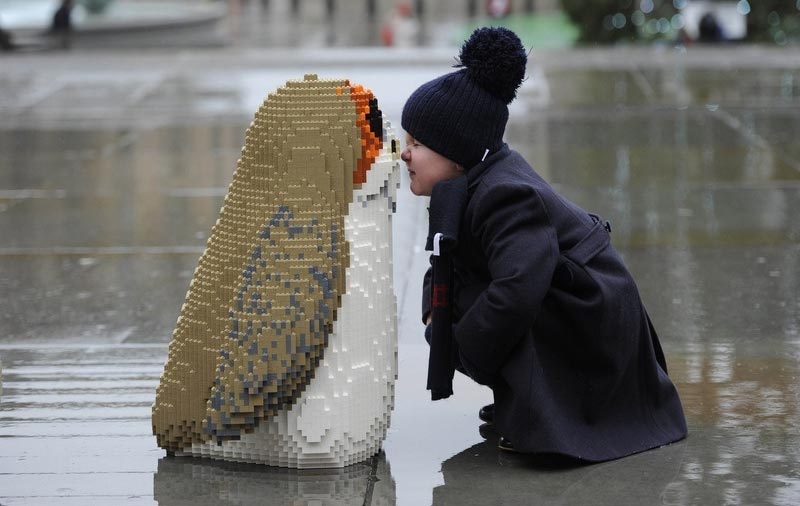 4316859.jpg-r_800_506-f_jpg-444q_x-xxyxx