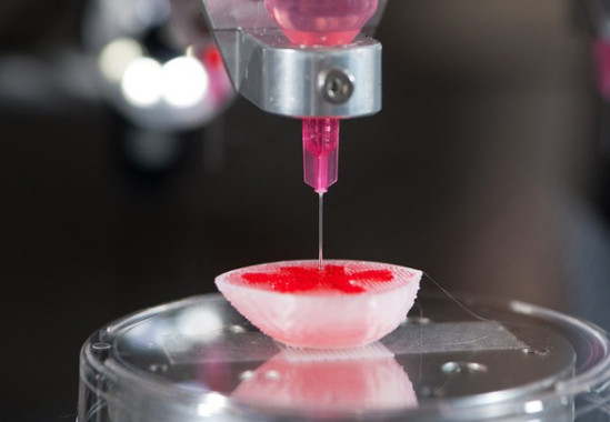 Creacion-de-organos-artificiales-donde-estan-los-limites_image_380