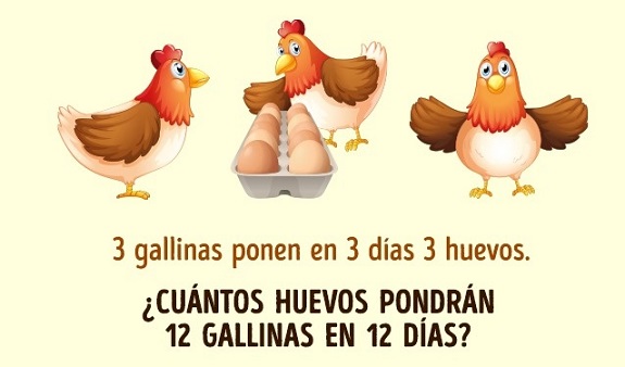 Gallinasd9-1501334628