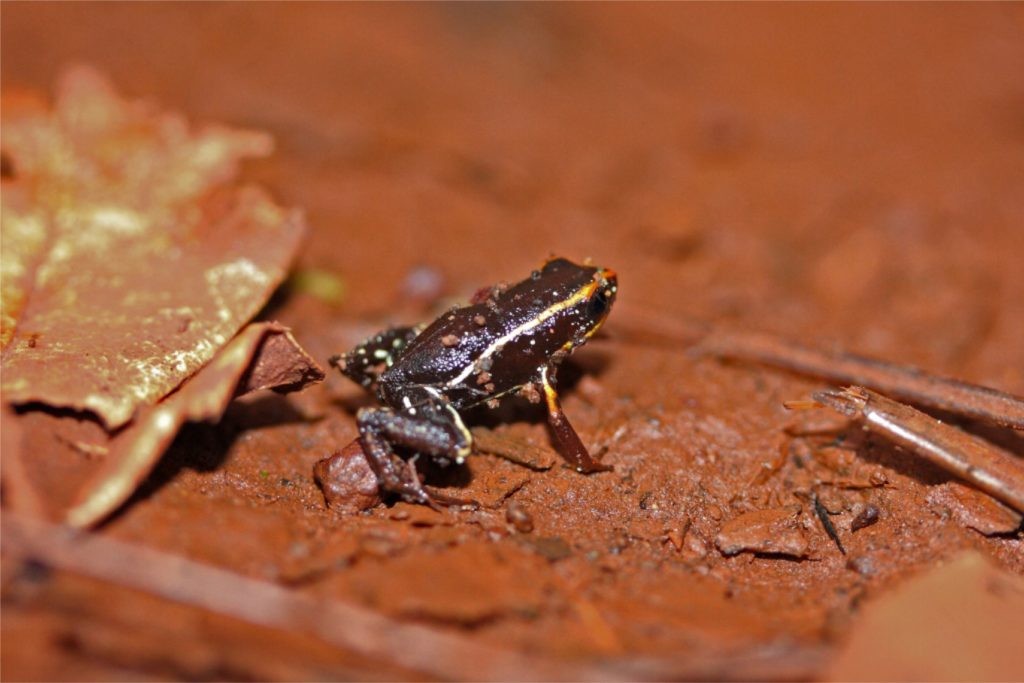Img-1a-1024x683