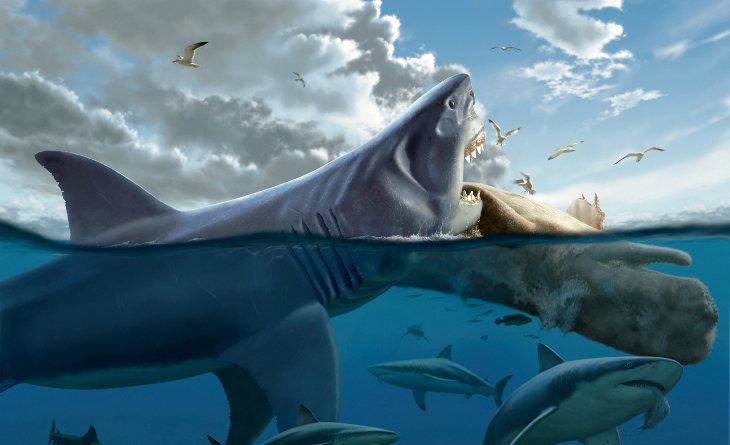Megalodon9