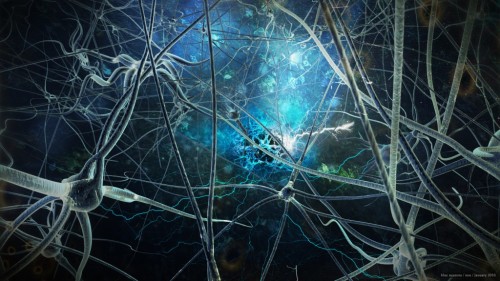 Neuronas-500xa281