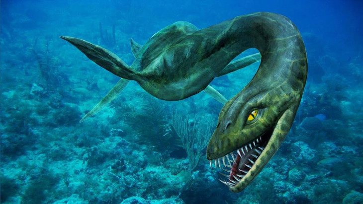 Plesiosaurio7