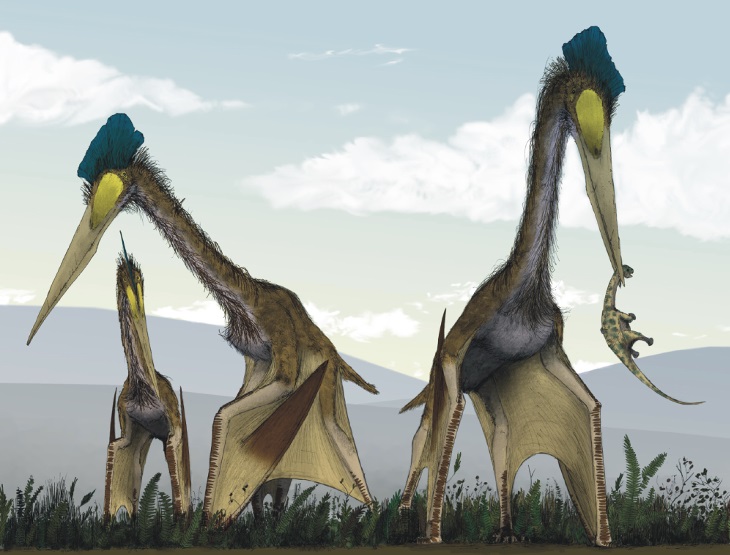 Quetzalcoatlus6