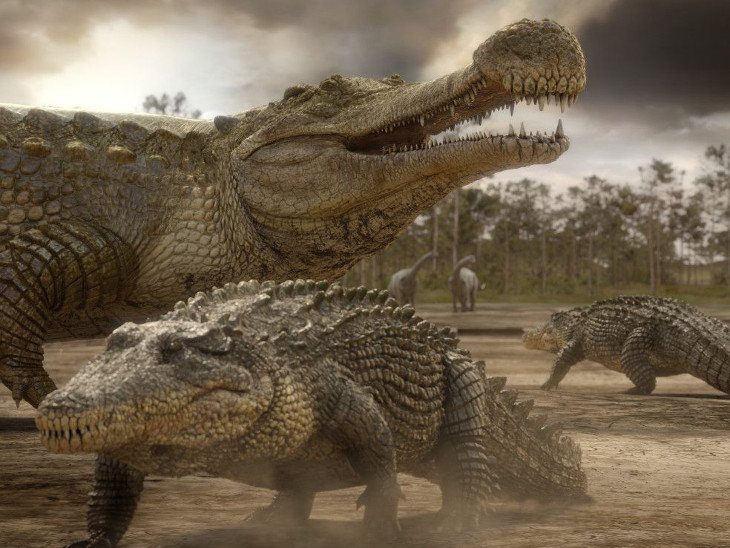 Sarcosuchus4