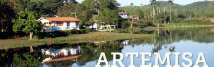 acto-nacional-artemisa-cuba