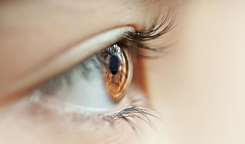 af9af0292ojos47898c3c