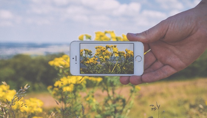 app-flores.jpg00000.imgo