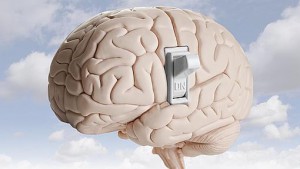 cerebro3--510x2a87