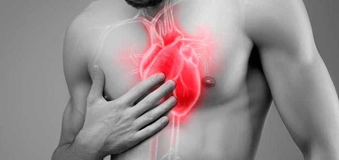 curiosidades-del-mundo-curiosidades-del-cuerpo-humano-corazon