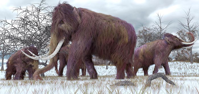 curiosidades-del-mundo-historia-mamut