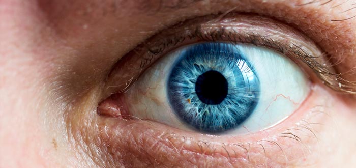 curiosidades-del-mundo-ojos-azules-2