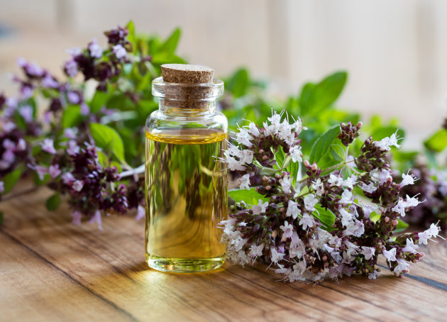 A bottle of oregano essential oil