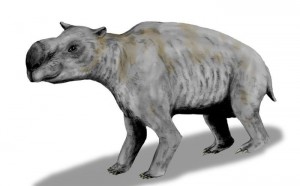 diprotoadon