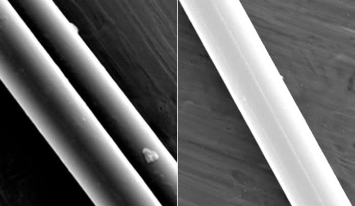 filaments-of-spider-silk-696x464
