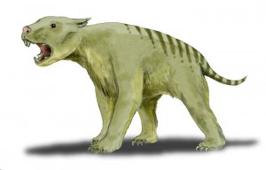 leonmarsupial