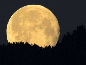 lunaimportante