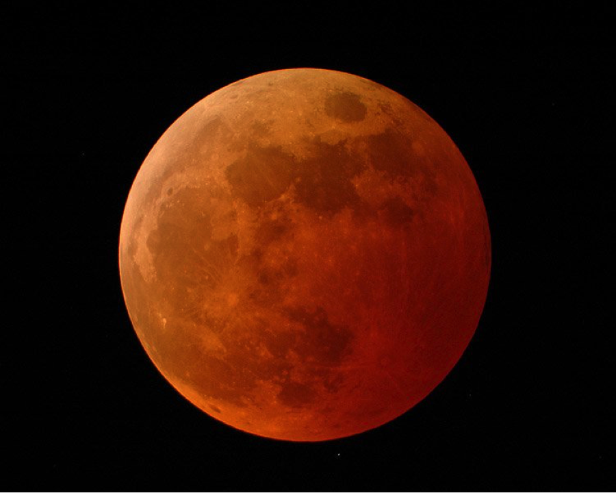 lunar.4545545445sp