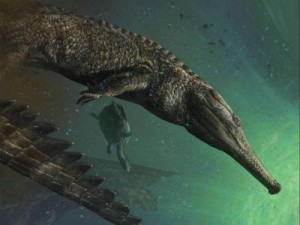 machimosaaurus-rex_0
