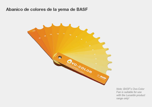 pantone ovocolor_BASF