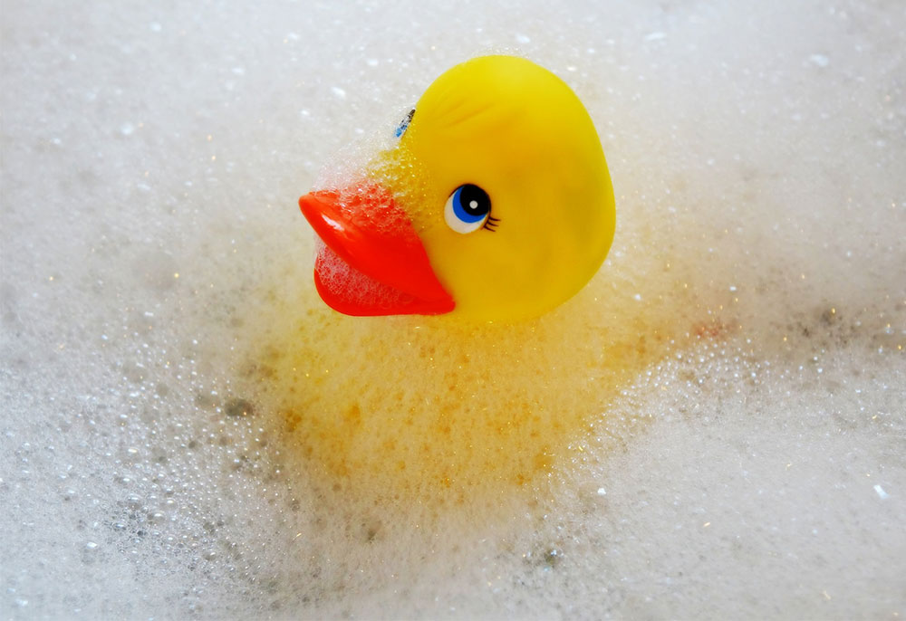 pato-hule.jpg.i56565mgo