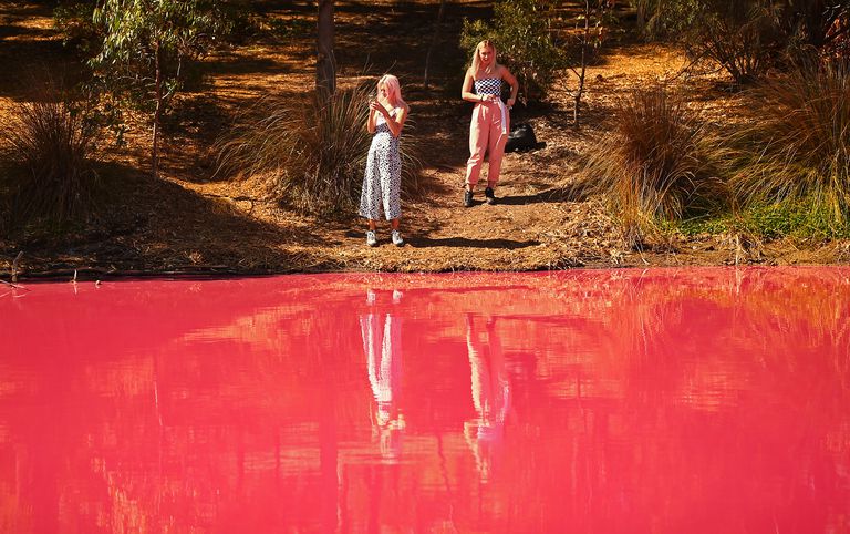 people-take-photographs-of-the-pink-lake-at-westgate-park-news-photo-1138537220-1554057505