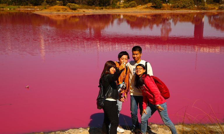 people-take-photographs-of-the-pink-lake-at-westgate-park-news-photo-1138537238-1554049887