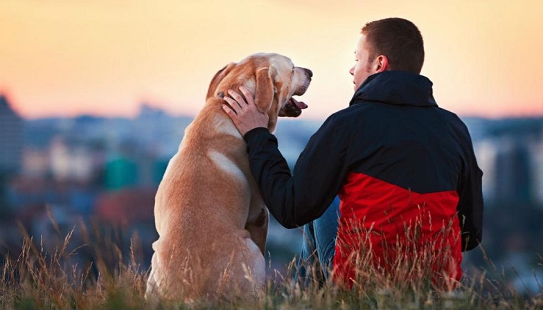 perro-hombre-hum55555555ano_0