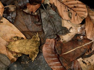 rqgdektuxltkpe6kykbo6