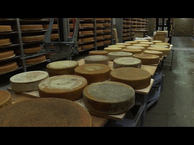 sddqueso444efault