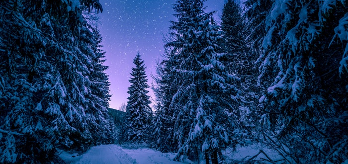 solsticio-de-invierno-dia-mas-corto-del-año