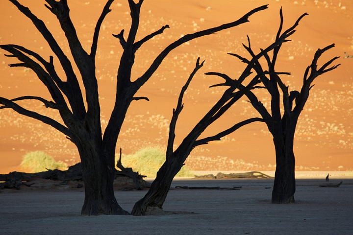 stock-photo-189886025