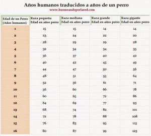 tabla_perros_2