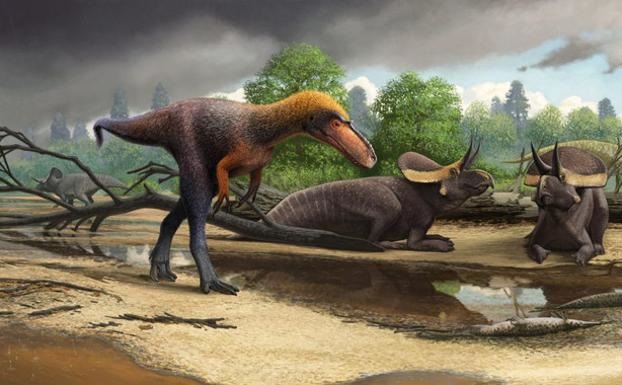 tiranosaurio-pequeno-ko5E-U80136232797TSD-624x385@RC