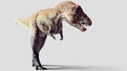 tiranosaurio-rex-8-0-k0SD--250x140@abc