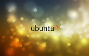 ubuntu-vivid-vermet-300x188
