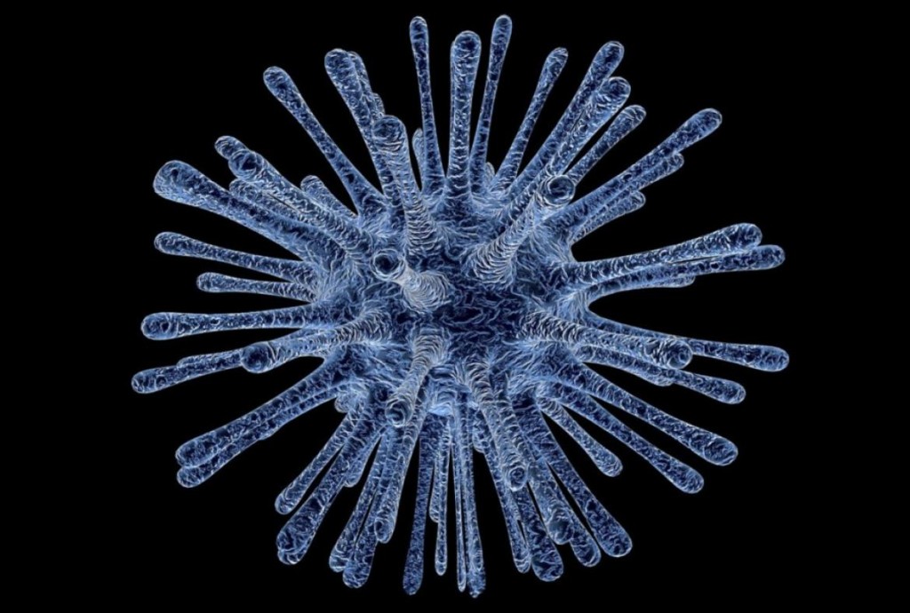 virus-enferm666666edades