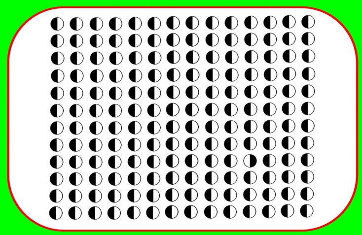 visual4-1