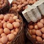 En 2022 los franceses ya no comerán huevos de gallinas de jaula