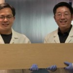 Desarrollan una supermadera resistente como el acero