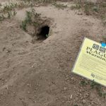 EEUU en alerta por propagación de la peste en 6 condados de Colorado