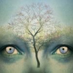 El Test del Árbol de Karl Koch: ¿Sabes qué padeces emocionalmente?