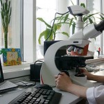 La única manera de vencer al cáncer