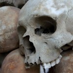 Cómo el ADN neandertal afecta a la forma de tu cabeza