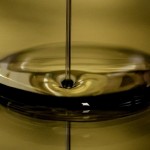 Científicos rusos descubren microorganismos que eliminan contaminación de crudo
