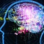 ¿Qué profesiones hacen que el cerebro se encoja?